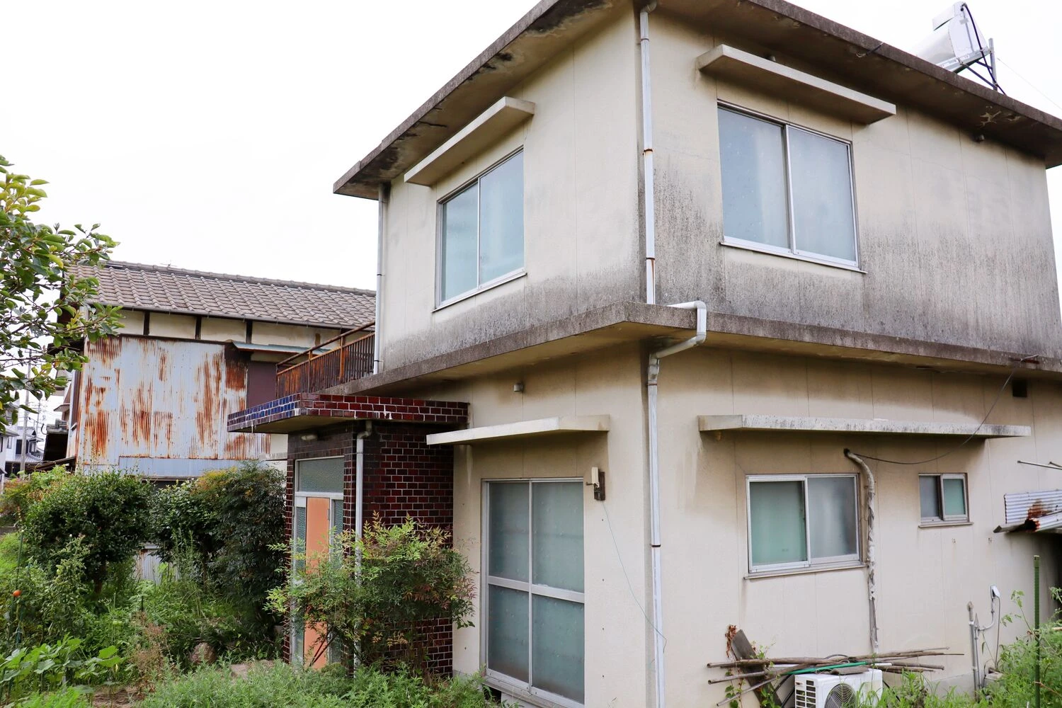 画像2942
