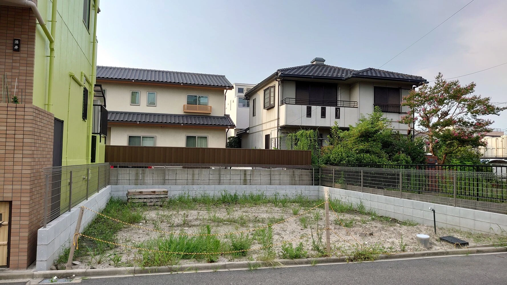 画像5334