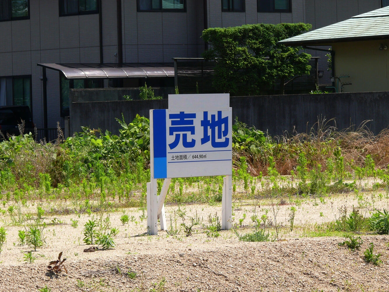 画像5854